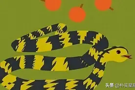原创无毒的菜花蛇为什么被称为“百蛇之王”？它有何特别之处？图片