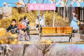 原来，生态城有这么多好玩的公园图片