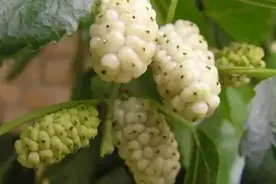 夫妻笑话，幽默笑话，搞笑段子，浪漫短信(二十八)图片