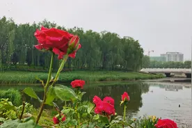 试机号码：2022282期福彩3D模拟试机号码来了，012路组合组六号码图片