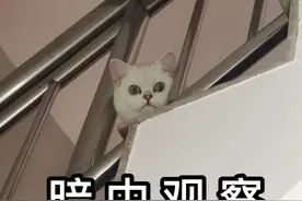 “最有爱的一天”冲上热搜，你知道是哪天吗？图片