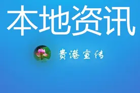 速看！这些纳税人可以享受小微企业“六税两费”减免、地方水利建设基金免征图片