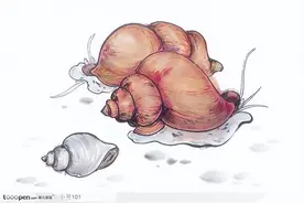 @如皋人，今年你céi螺儿了吗？图片