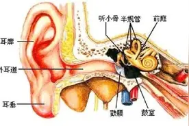 听听噪音，你可以睡得更安详图片