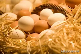 北京大学团队研究显示：每天吃一个鸡蛋，可降低心血管风险图片