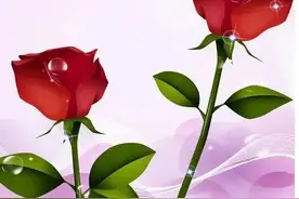 人生真爱只有一次，遇见要珍惜图片