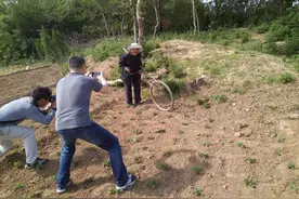 唐朝名将罗成在哪阵亡？图片
