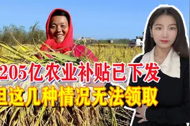 农民好消息！今年首项农业补贴已下发，但这几种情况无法领取图片