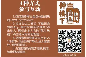 钟楼下丨怪事！西安一小区多户业主家出现成群蚂蚁 如何处理成难题图片