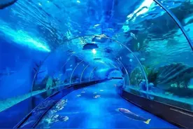 春光正好时，趣游福建海洋馆图片