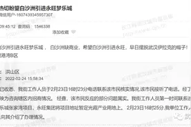 来了！武汉拟新增两大永旺图片