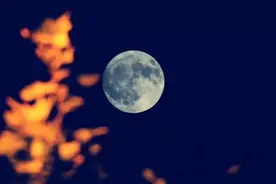 「诗词鉴赏」月下诗情知多少？有关月夜的古诗句，皓月当空寄情思图片