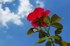 30个保持身材的小妙招图片