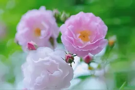两个人的姻缘，其实，就是一场命中注定图片