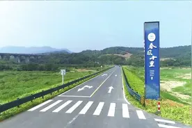 常州金坛：“四好农村路” 铺就乡村振兴“快车道”图片