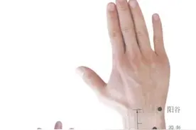 穴位图解——手太阳小肠经经穴图片