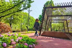 闵行这里新建3个环形绿道，其中一个环湖3.3公里图片