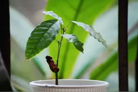 有一副对联，堪称“神联”，写尽了人生！图片