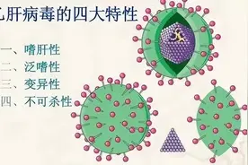 没有肝炎症状，查肝功能也“正常”， 为什么还会得肝硬化？图片