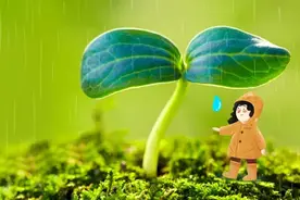 暴雨又怎样，是雨总会停的 | 亲子客厅图片