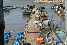 《狂飙》金湾打卡地！高启强在这里出海钓鱼图片