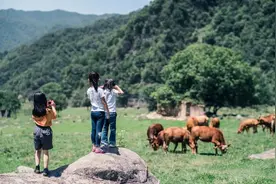 汉中的夏天这样玩！上山入林，抓鱼采蜜，偶遇金丝猴……实名慕了！图片