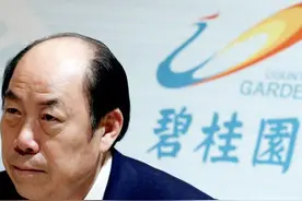 碧桂园老总卖飞机还债？面对巨额负债他是如何处理的？图片