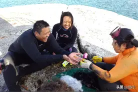 逐渐消失的“美人鱼”图片