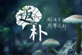 一种罕见病在法国山村频发，幕后黑手原来是一道美味佳肴？图片