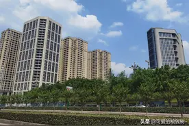 试管之路9——稽留流产后7天复查图片