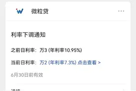 你们微粒贷额度利率都是多少图片