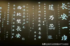 盘点《长安三万里》出现的古诗词图片