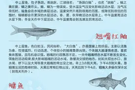 常见淡水鱼的习性图片