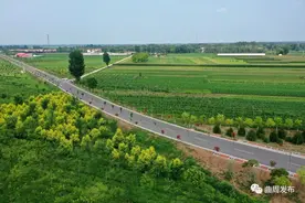 春节后，曲周这两条路要破土动工图片