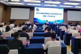潼南区网络达人联合会成立，选举产生了第一届领导班子，杜洪明当选为联合会会长图片