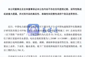 中国电建中标216亿超级大单，厉害图片