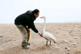 为了守护记忆中的青海湖，一位藏族牧民用三十余年写下的环保故事图片