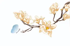 ​蝴蝶飞飞 细针追追——可疑甲状腺结节超声引导下细针活检图片