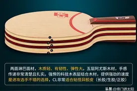 史上比较全的乒乓球底板知识图片
