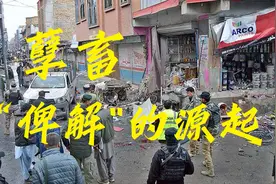 孽畜是如何孕育出来的？巴基斯坦“俾路支解放军”的前世今生图片