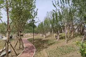 知道了什么叫弹窗图片