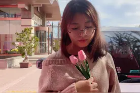马卡龙游记：探访大人的游乐园图片