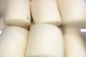 馒头升糖快，糖友不能吃？掌握4个花样吃饭方法，吃得饱、升糖慢图片
