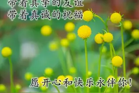 每日清晨聊天问候祝福图片 下雨天早上好祝福美图图片