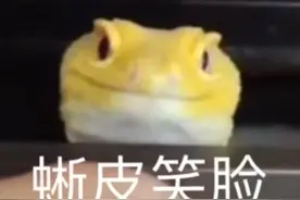 夸夸眼｜今日份甜度爆表的夸人小套句你学会了嘛图片