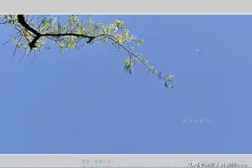聊手机摄影（16）手机的逆光摄影，需要知道的逆光这些特点图片