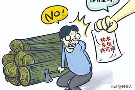 “合法砍树”需要满足哪些条件？图片