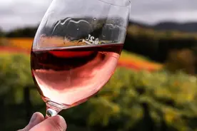 葡萄酒、白兰地、威士忌的年份有什么不同？看完这篇终于搞懂了图片