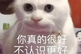 搞笑女专用表情包｜你真的很好 不认识更好图片