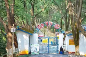 12月31日关闭！她陪伴了岳阳人20多年图片